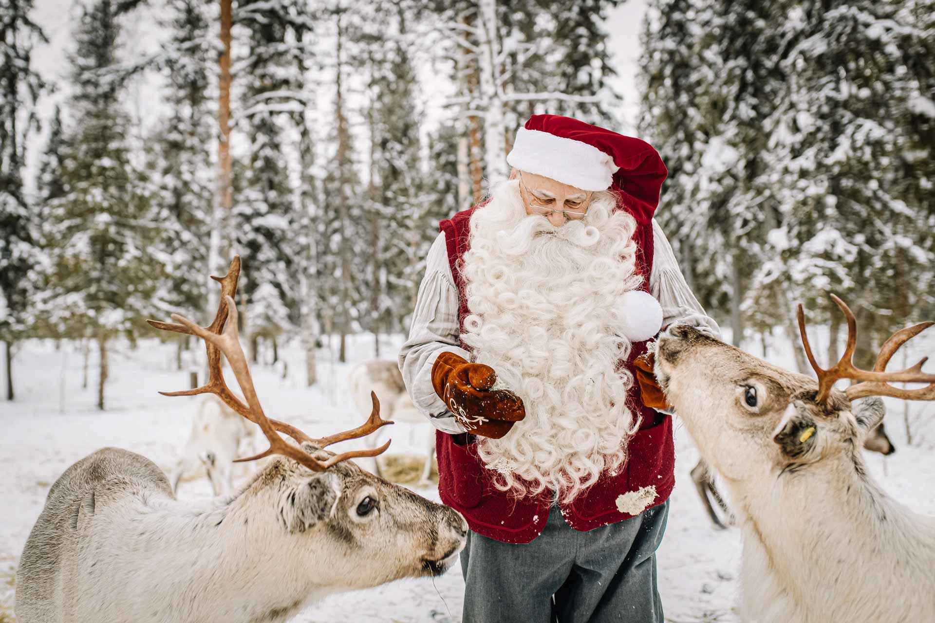 Uma viagem mágica à Lapônia: Uma semana de aventura no país do Pai Natal